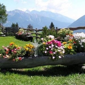 Meet your Posher, Paula